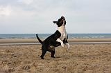 STAFFIE 272
